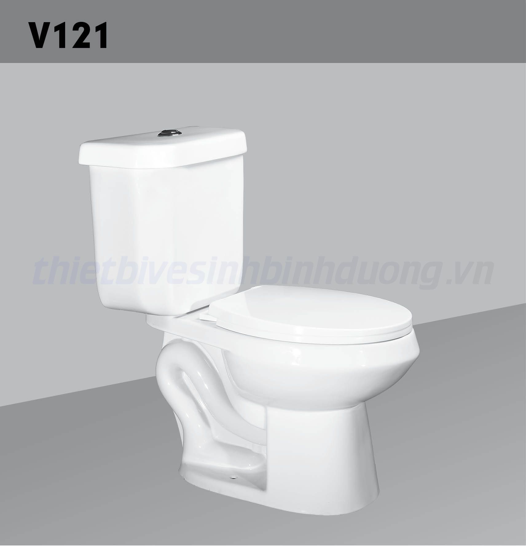 Bồn cầu sứ Hảo Cảnh HC V121